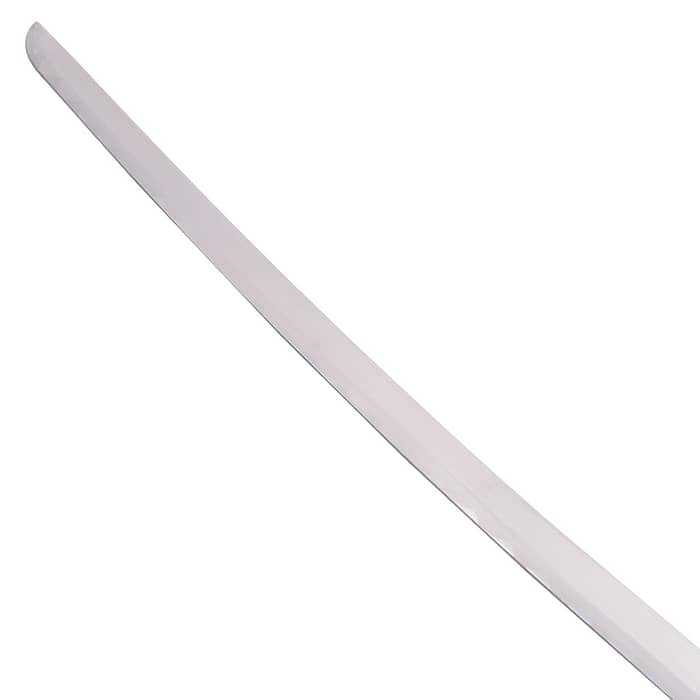 One Piece Tashigi Shigure Sword