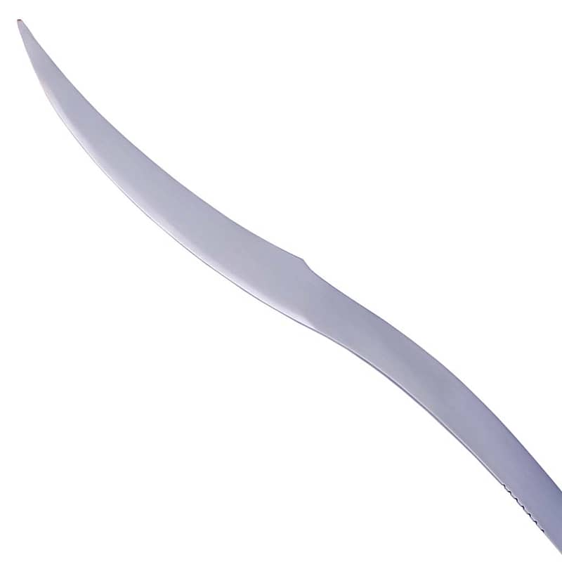 Tipu Sultan Silver Sword